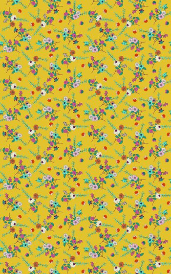 1043398-18040901 - 副本2