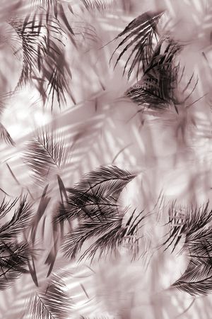 女装印花华亿平台图片