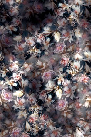 数码华亿平台印花华亿平台图片