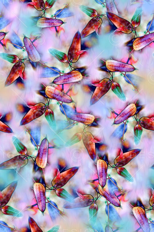 炫彩印花华亿平台图片