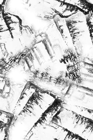 女装印花华亿平台图片