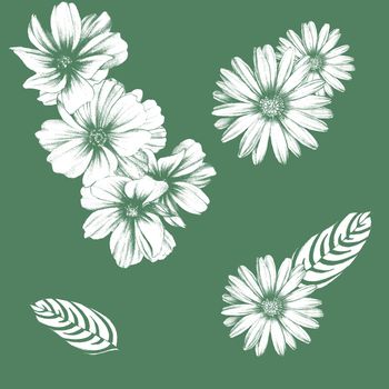 淑女印花华亿平台图片