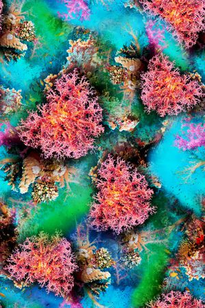 数码华亿平台印花华亿平台图片