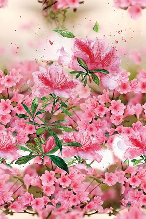 花瓣印花华亿平台图片