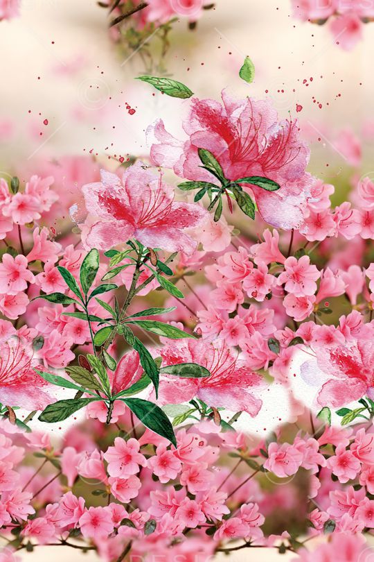 花瓣印花华亿平台图片