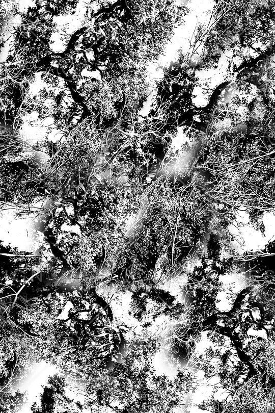 肌理印花华亿平台图片