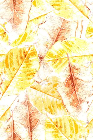 肌理印花华亿平台图片