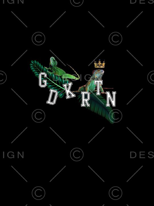 蜥蜴印花华亿平台图片