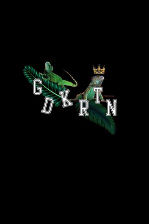 蜥蜴印花华亿平台图片