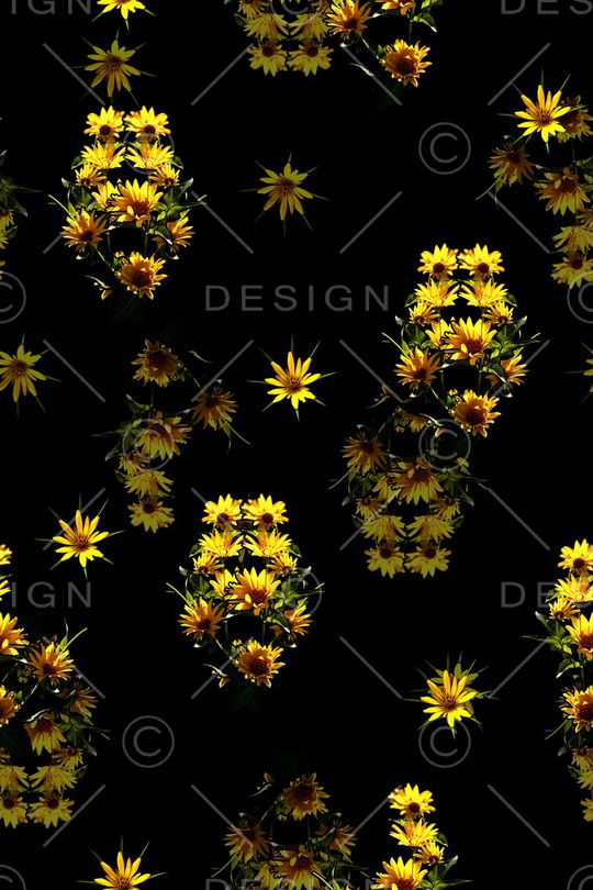 卡通印花华亿平台图片