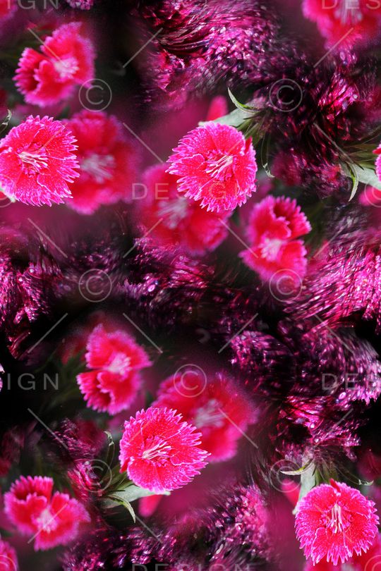 炫彩印花华亿平台图片