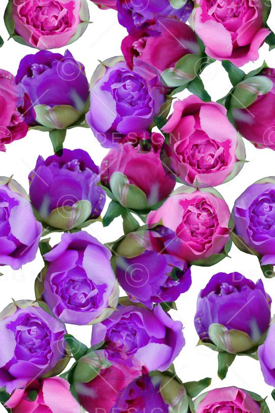 炫彩印花华亿平台图片