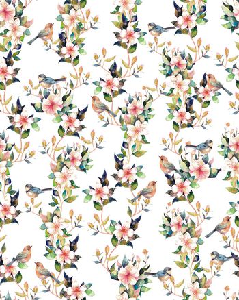 1046087-ADCSSD1005-2