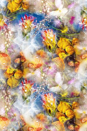 彩底花卉印花华亿平台图片