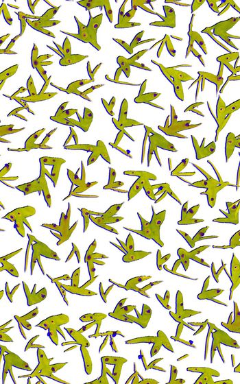 1046415-WL8D1-27 副本.2