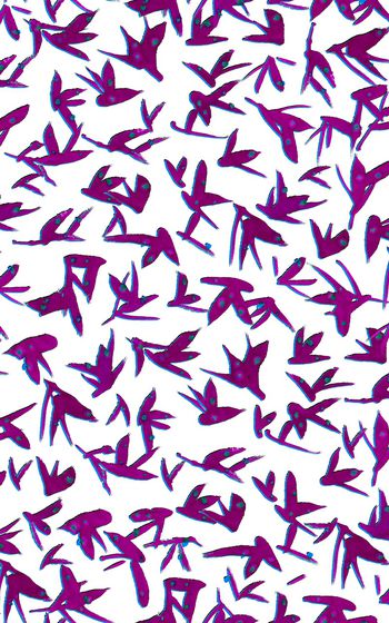 1046416-WL8D1-27 副本.3