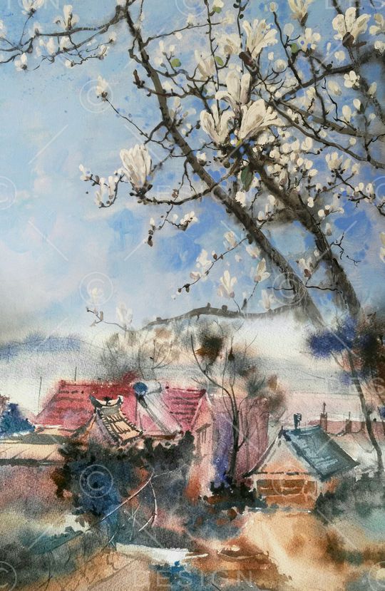 玉兰花印花华亿平台图片