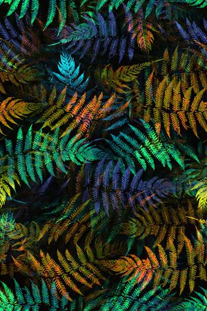 配饰印花华亿平台图片