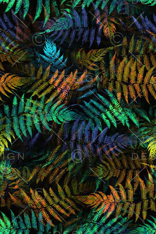 配饰印花华亿平台图片