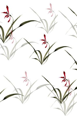 女装印花华亿平台图片