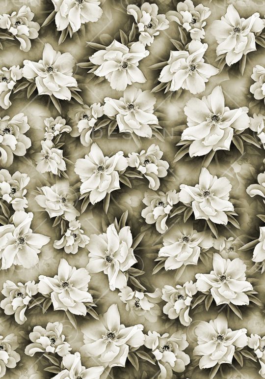 牡丹印花华亿平台图片