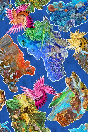 分形印花华亿平台图片