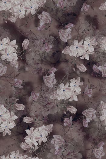 1047785-3月2018142-1