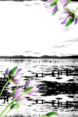 女装印花华亿平台图片