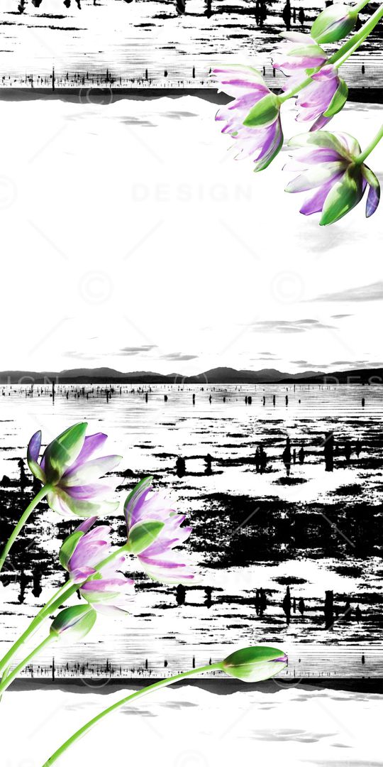 女装印花华亿平台图片