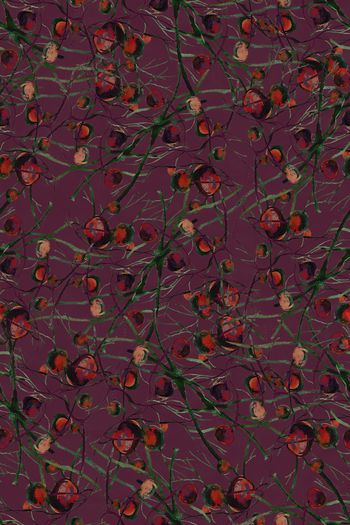 1049056-红色柿子1