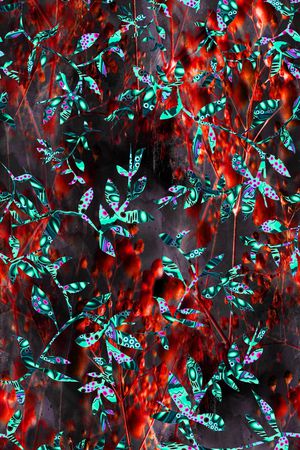 条纹印花华亿平台图片