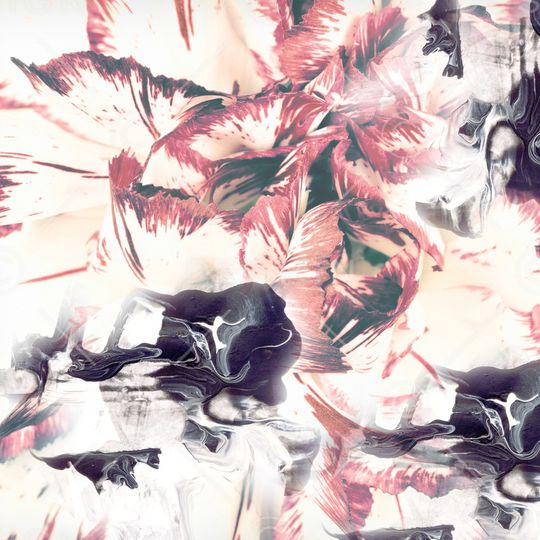 水彩花卉印花华亿平台图片