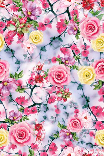 1050016-朦胧底花朵 1804426