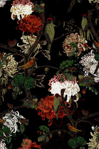 黑底花卉印花华亿平台图片