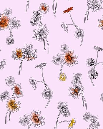 1050727-ADCSSD1017-2