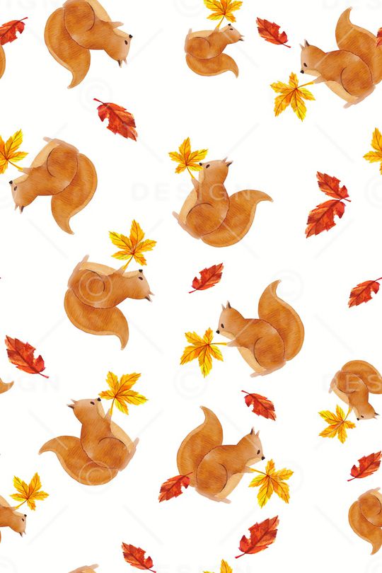 春夏华亿平台印花华亿平台图片