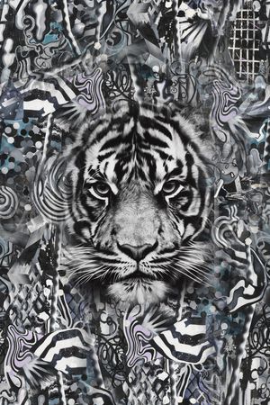 条纹印花华亿平台图片