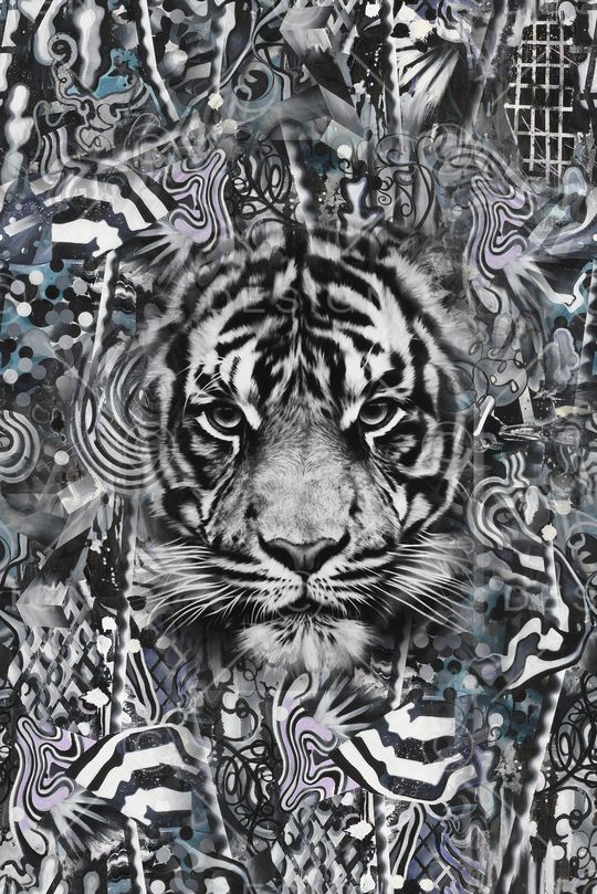 条纹印花华亿平台图片