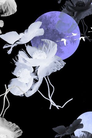 淑女印花华亿平台图片