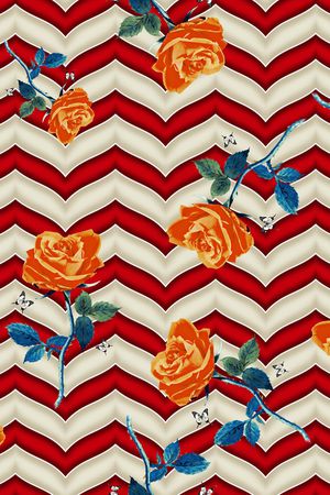 条纹印花华亿平台图片