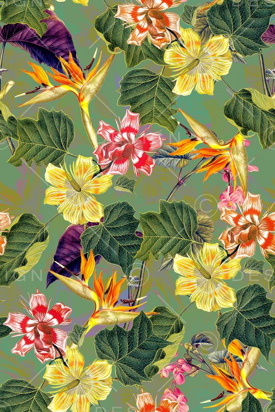 水彩花卉印花华亿平台图片