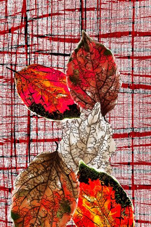 格子印花华亿平台图片