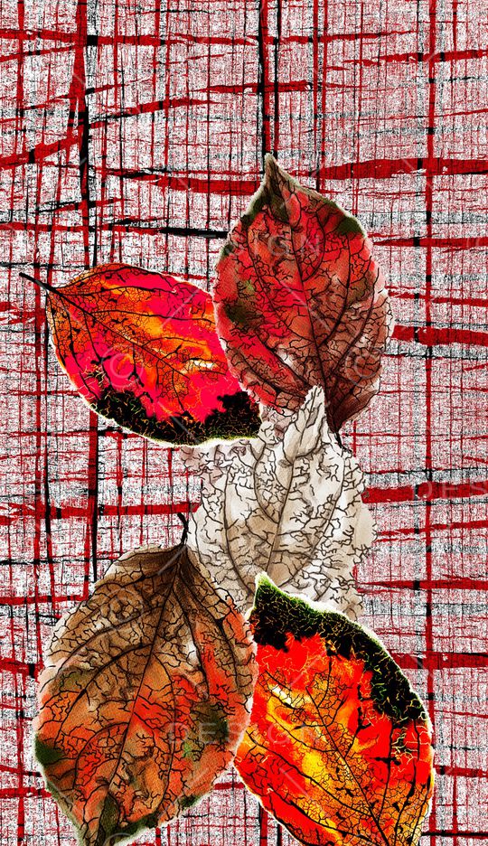 格子印花华亿平台图片