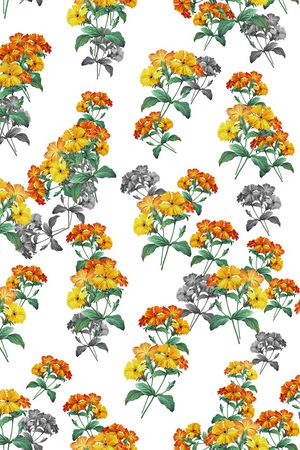 植物印花华亿平台图片