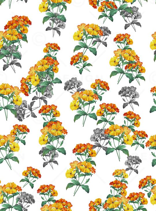 植物印花华亿平台图片