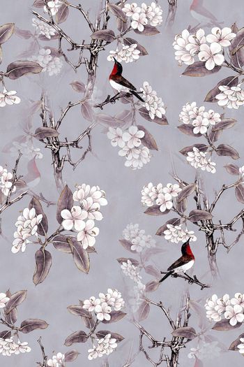 1052902-3月2018159-1