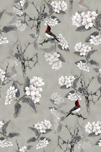 1052905-3月2018159-2