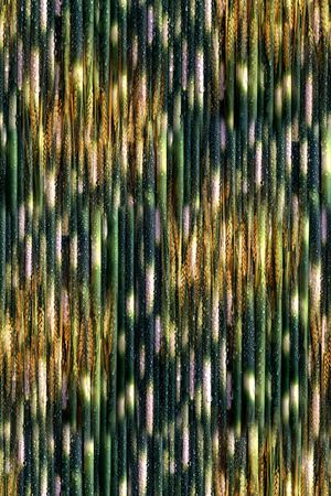 麦穗印花华亿平台图片