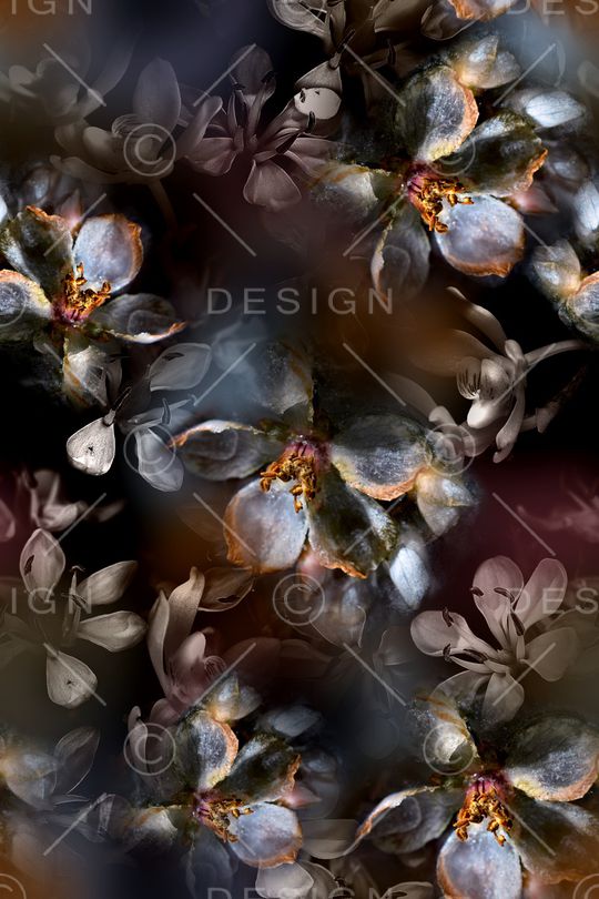 黑底花卉印花华亿平台图片