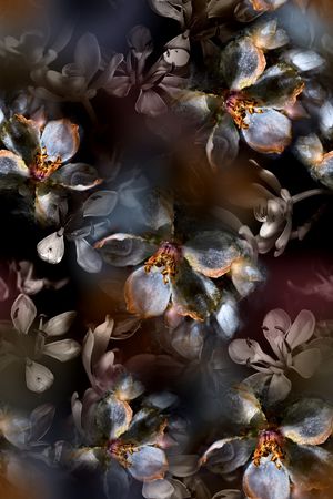 黑底花卉印花华亿平台图片